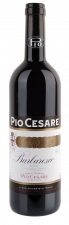 Pio Cesare Barbaresco